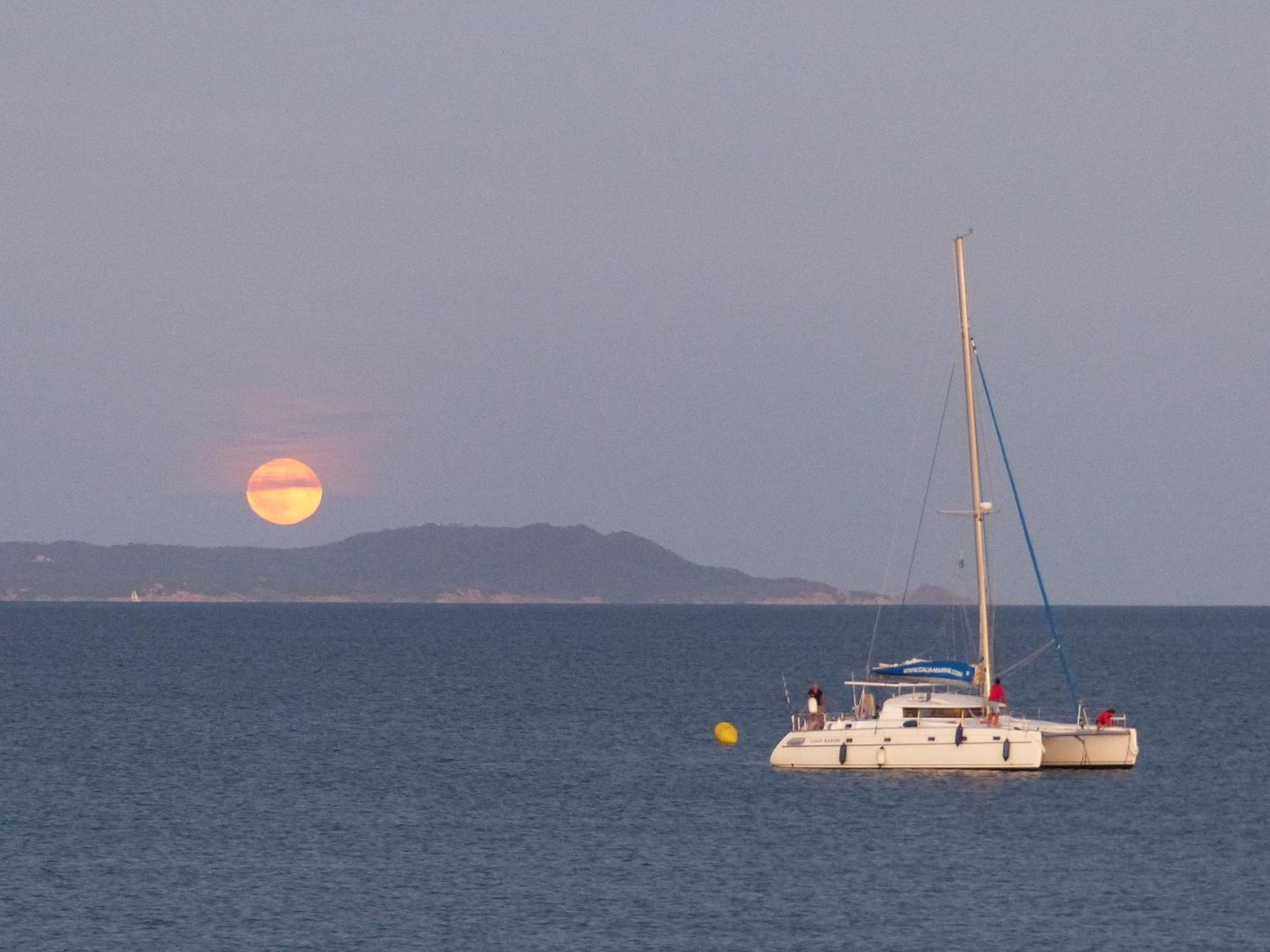 Le Surplage Hyères Eksteriør billede